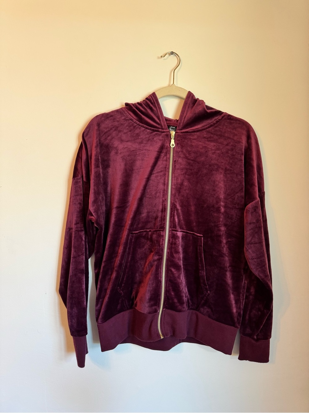 Velour Zip-Up Hoodie in Deep Wine